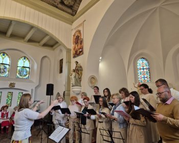 b49f3871-65a4-4d6c-8328-0aac63d911a0